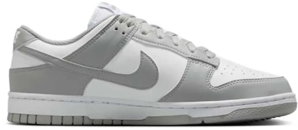 Giày Nike Dunk Low Next Nature 'Light Smoke Grey' DD1873-113