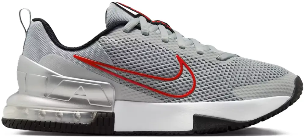 Giày Nike Air Max Alpha Trainer 6 "Flat Silver" FQ1833-011