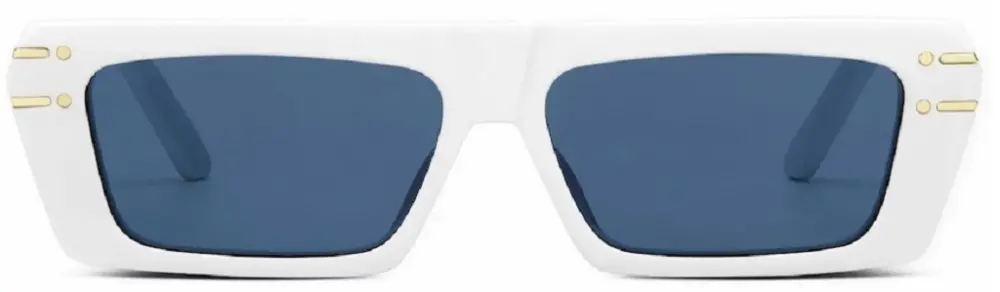 Kính Dior Pacific Sunglasses 'White' S2U-5080