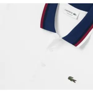 Áo Lacoste Men’s Color Matching Polo PH3461-51G-001 - Ảnh 6
