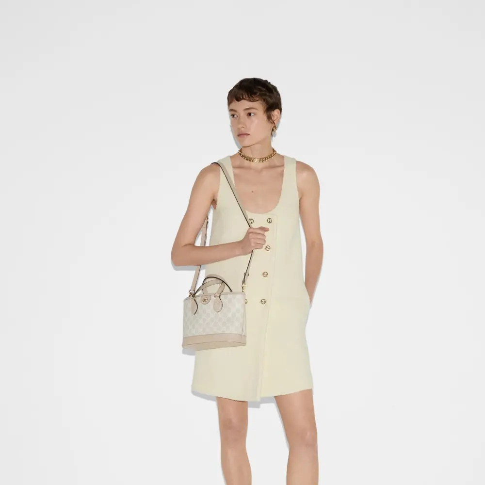 Túi Nữ Gucci Ophidia Mini Tote Bag 'Beige White' 811716-FAA4G-9897 - Ảnh 7