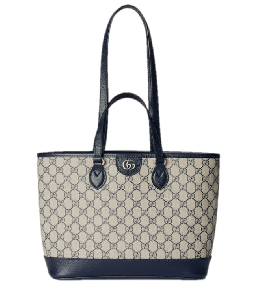 Túi Gucci Ophidia Small Tote Bag 'Beige Blue' 765043-K9GSN-4075