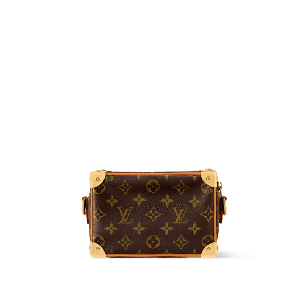 Túi Louis Vuitton Mini Soft Trunk Box Bag 'Brown' M14729 - Ảnh 5