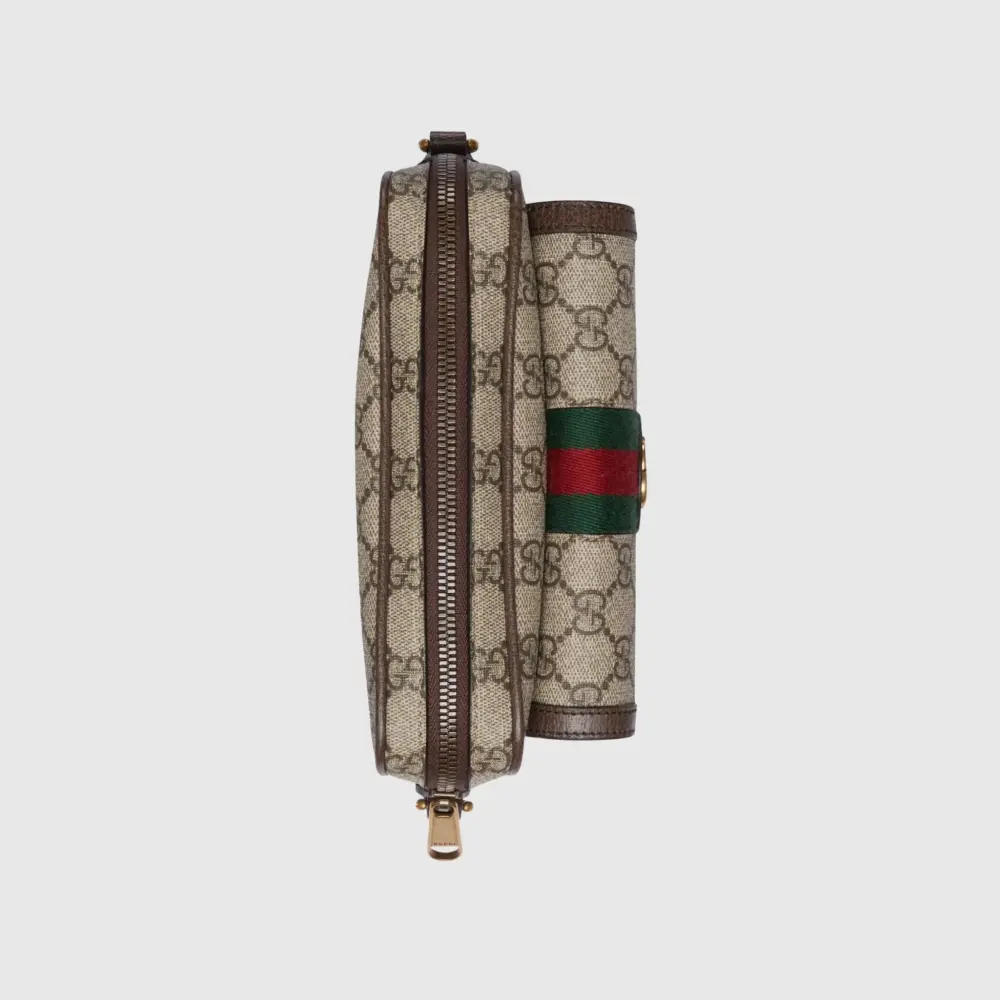 Túi Gucci Ophidia GG Mini Bag 'Beige' 746308-96IWT-8745 - Ảnh 4