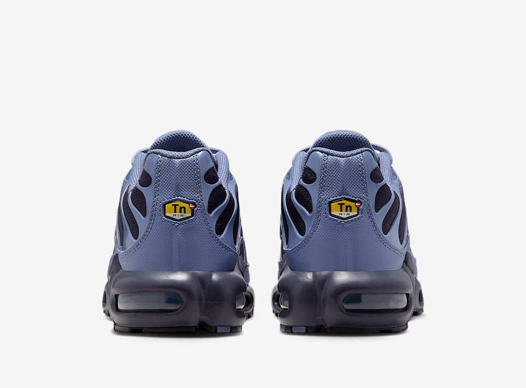Giày Nike Air Max Plus 'World Indigo' DM0032-404 - Ảnh 3