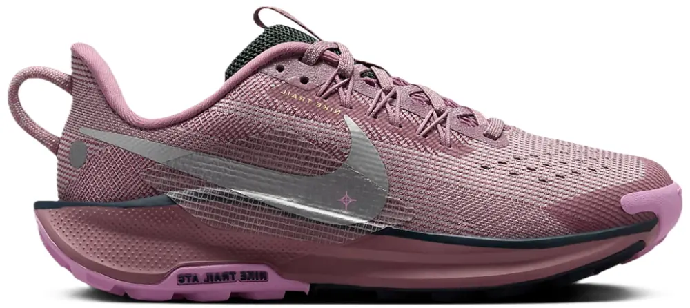 Giày Nike Pegasus Trail 5 GS ‘Plum Dust’ FV5638-500