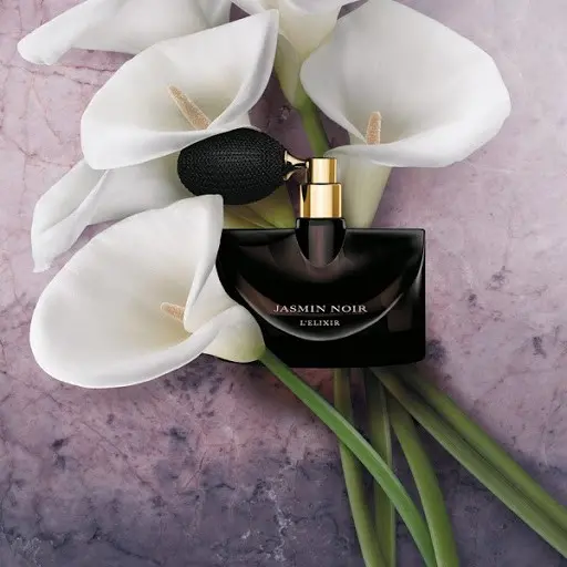 Nước Hoa Bvlgari Splendida Jasmin Noir EDP - Ảnh 3