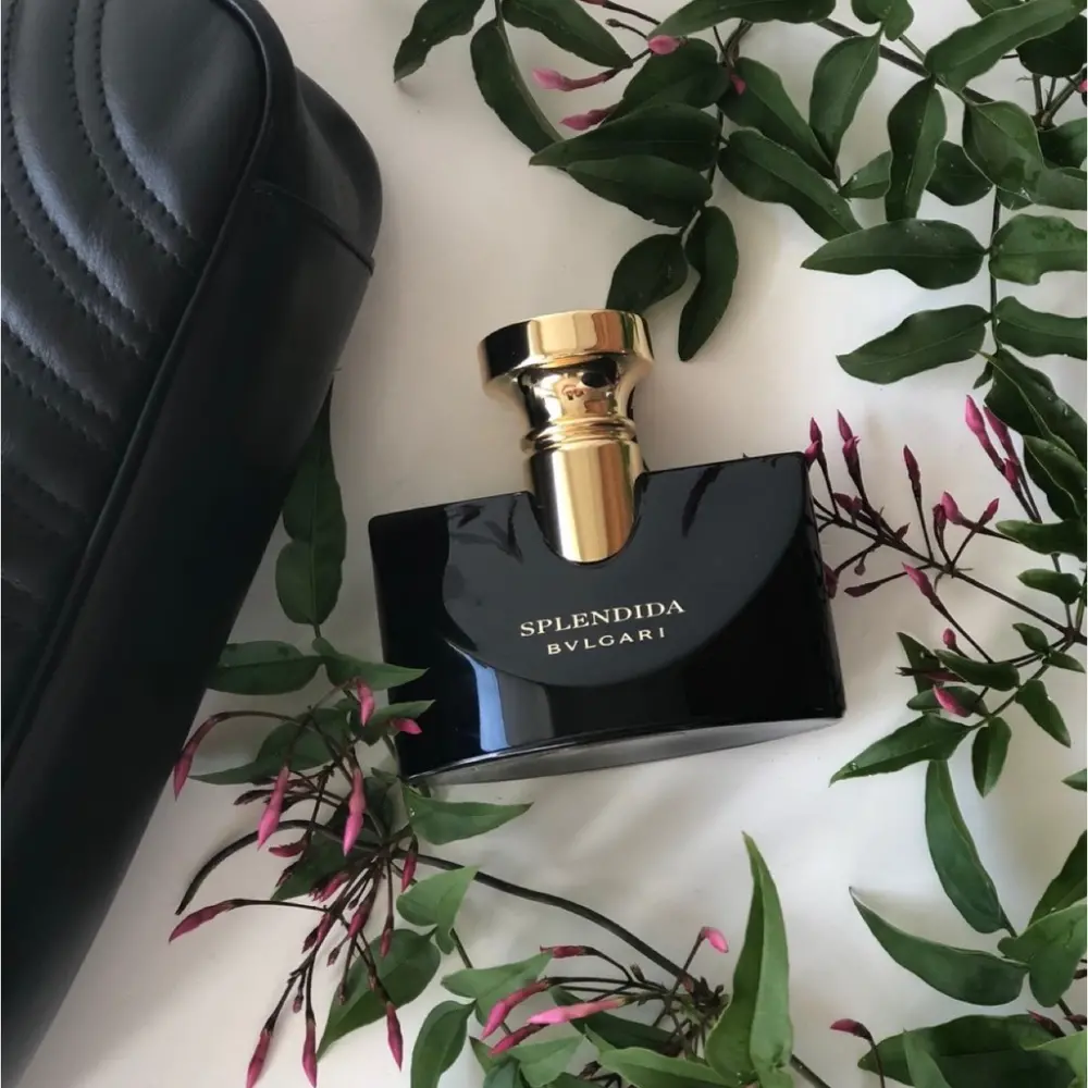 Nước Hoa Bvlgari Splendida Jasmin Noir EDP - Ảnh 2