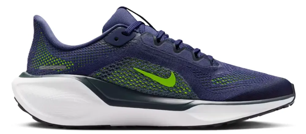 Giày Nike Air Zoom Pegasus 41 'Sanded Purple' FN5041-501