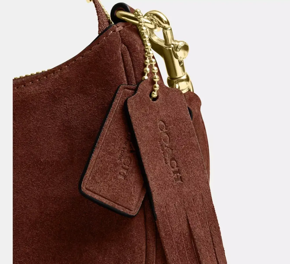 Túi Coach Teri Mini Crossbody Bag 'Vintage Brown' CCE42-IME0S - Ảnh 9