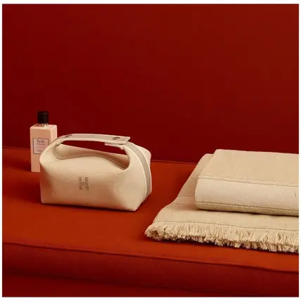 Túi Hermès Bride-a-Brac Case Small Model 'Vanila' H103222M-01 - Ảnh 3