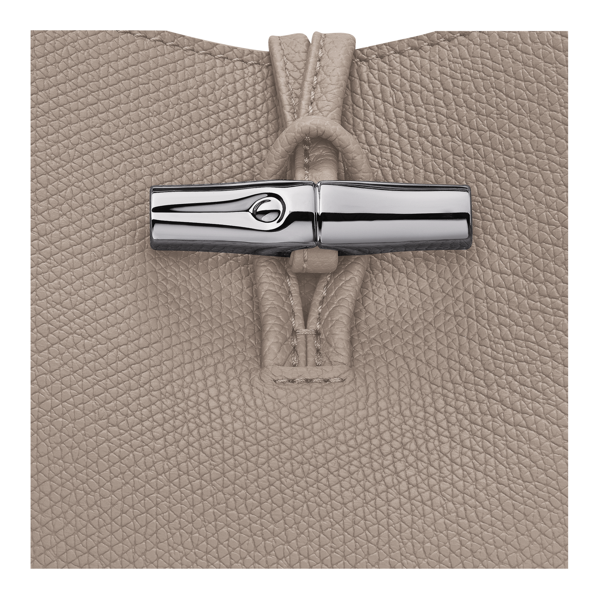 Túi Longchamp Le Roseau XS Bucket Bag 'Clay' 10314HFP266 - Ảnh 6