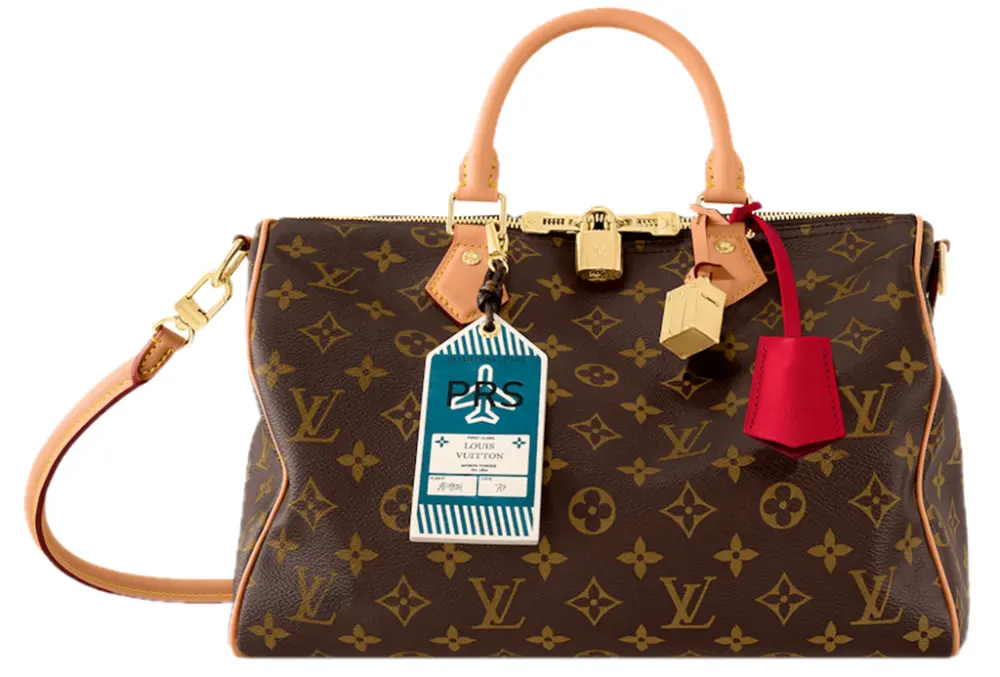 Túi Louis Vuitton Speedy Soft 30 Crafty Bag 'Brown' M11945