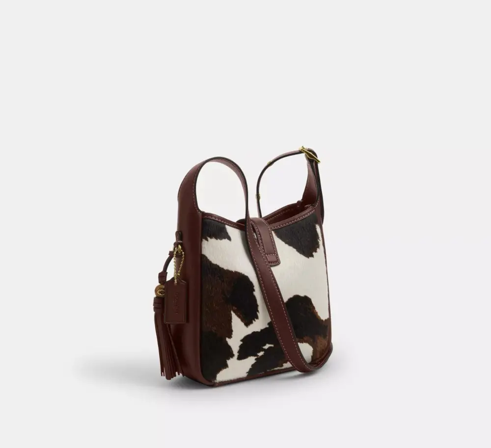 Túi Coach Hadley Mini Crossbody Bag 'Multicolor' CCE14-IMYFH - Ảnh 4
