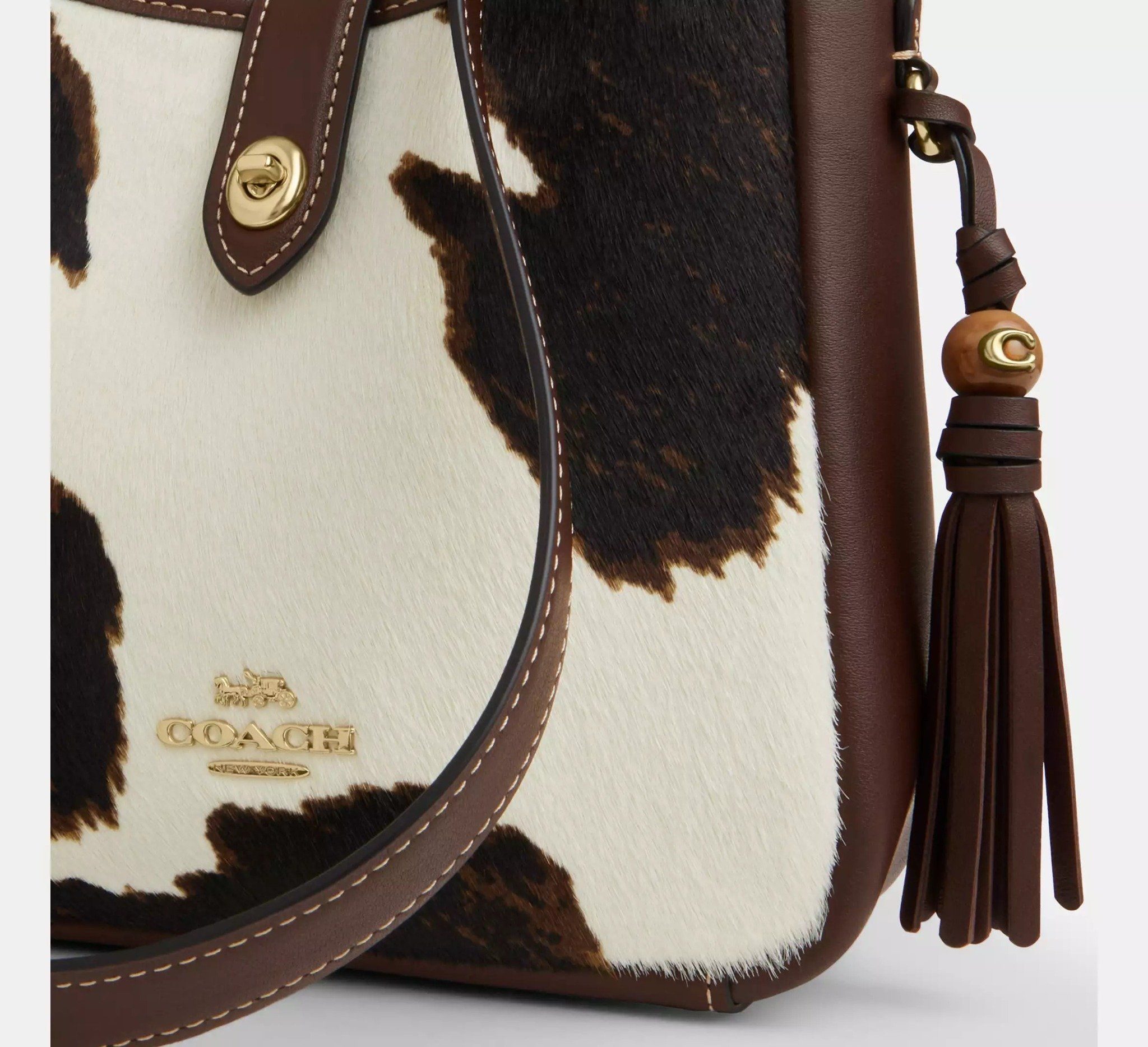 Túi Coach Hadley Mini Crossbody Bag 'Multicolor' CCE14-IMYFH - Ảnh 8