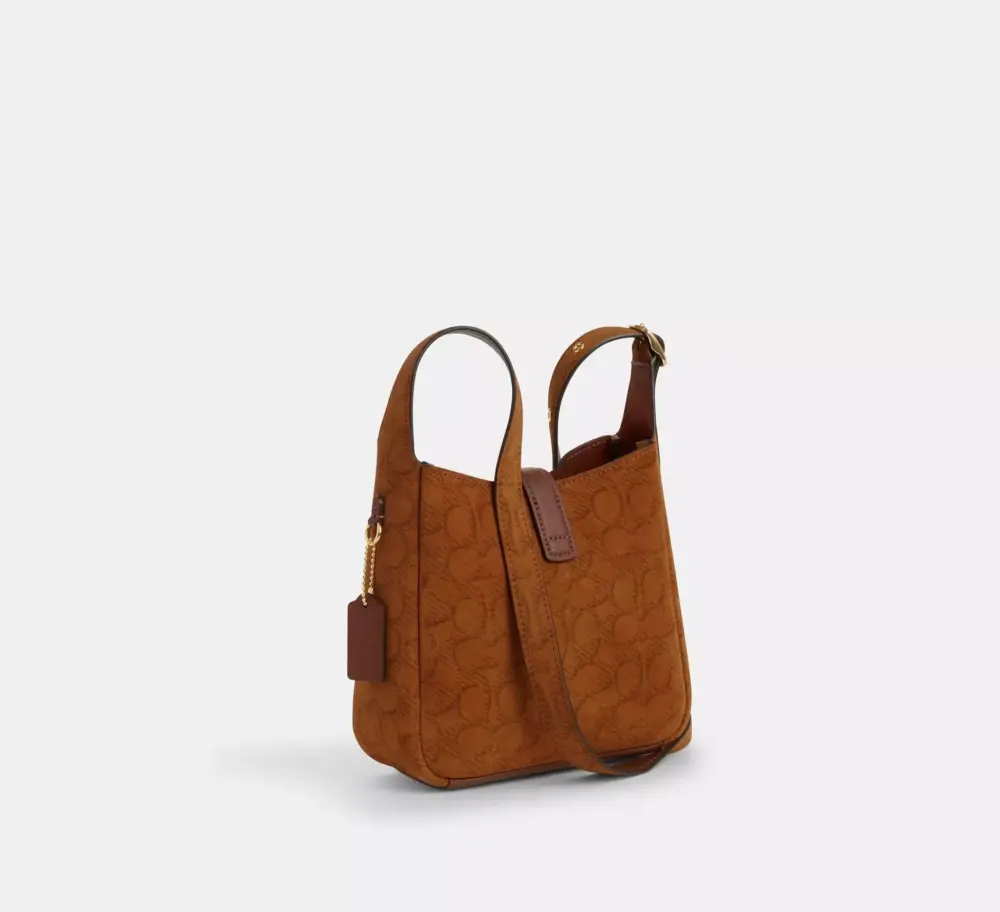 Túi Coach Hadley Mini Crossbody Bag 'Caramel' CCE16-IMLN6 - Ảnh 3
