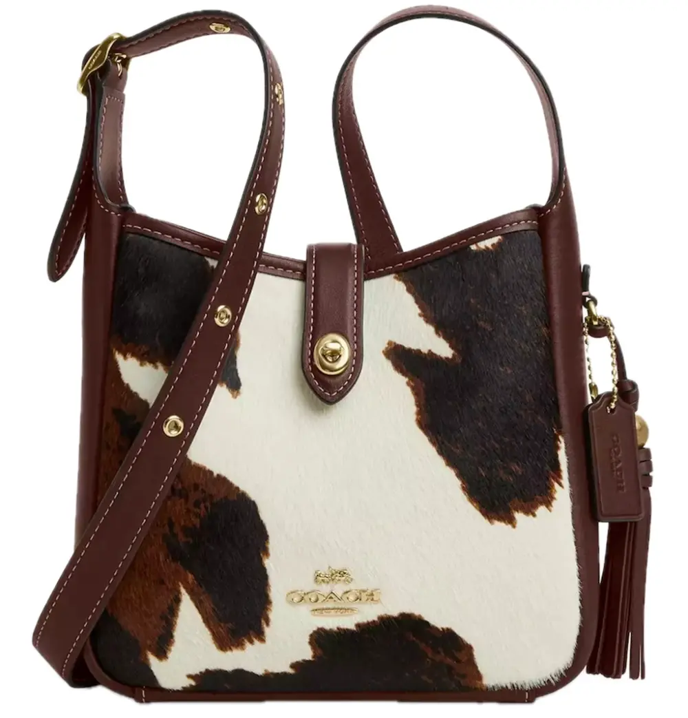 Túi Coach Hadley Mini Crossbody Bag 'Multicolor' CCE14-IMYFH