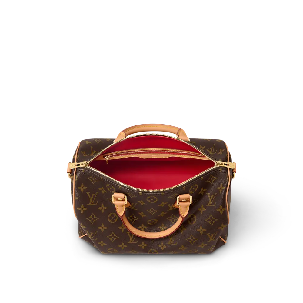 Túi Louis Vuitton Speedy Soft 30 Crafty Bag 'Brown' M11945 - Ảnh 3