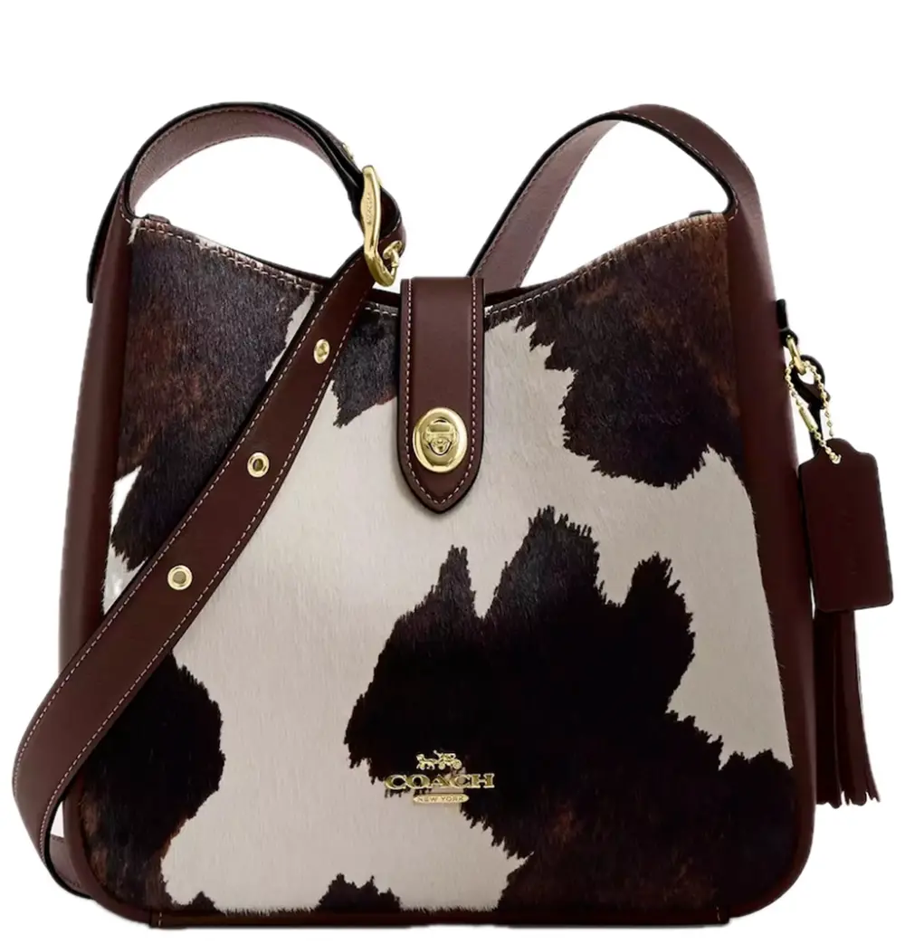 Túi Coach Hadley Convertible Crossbody Bag 'Multicolor' CCC87-IMYFH