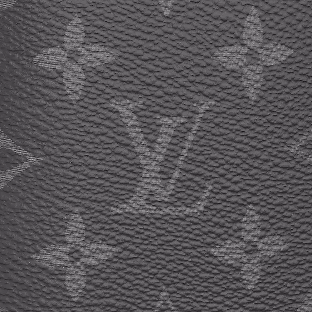 Ví Louis Vuitton Brazza Wallet 'Eclipse' M61697 - Ảnh 4