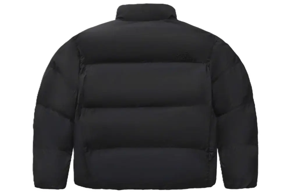 Alternative view of Áo The North Face Geodome V Hoodie 'Black' NJ3NR57A