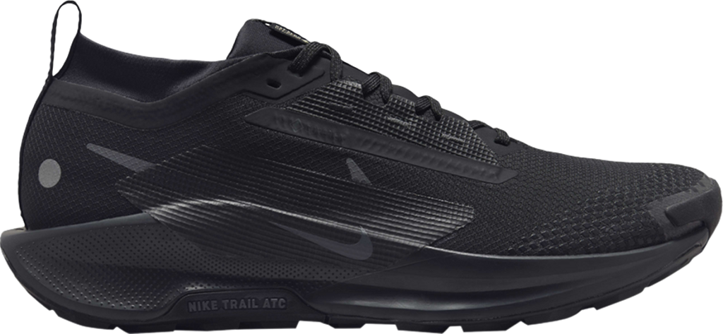 Giày Nike Pegasus Trail 5 GORE-TEX ‘Black’ FQ0908-002