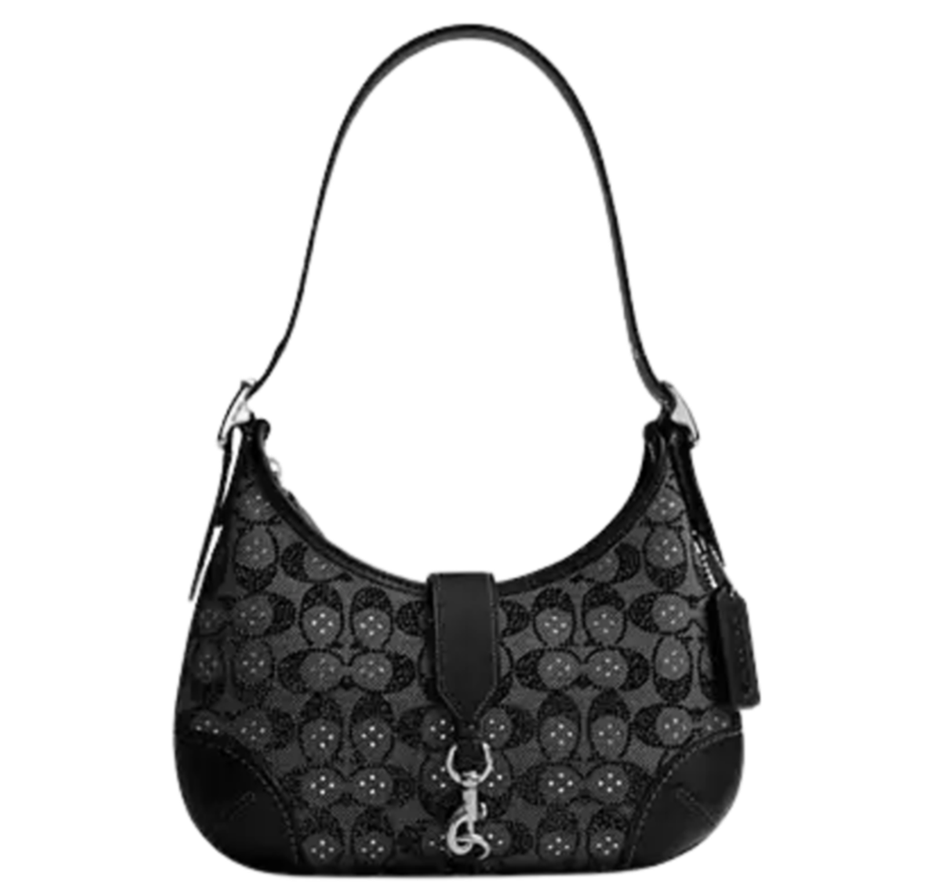 Túi Coach Hamptons Hobo Bag ‘Black’ CW654-LHBLK