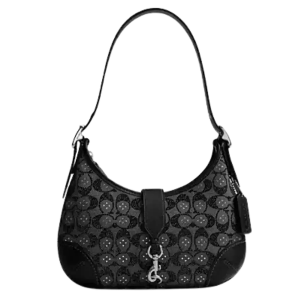 Túi Coach Hamptons Hobo Bag ‘Black’ CW654-LHBLK