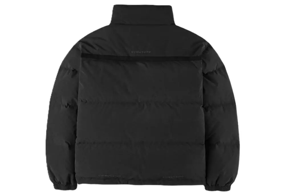 Áo Evisu 2025 Down Jacket with Embroidered Logo 'Black' 2EAGNM5NJ5052RXCT - Ảnh 4