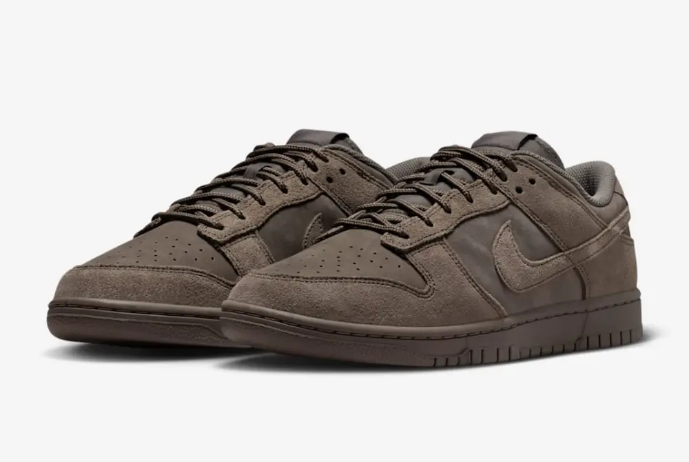 Giày Nike Dunk Low Retro SE ‘Cave Stone’ IB6651-200 - Ảnh 4