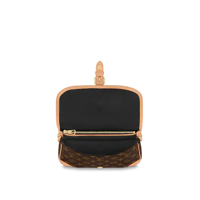 Túi Louis Vuitton Diane Satchel 'Monogram Brown' M45985 - Ảnh 3