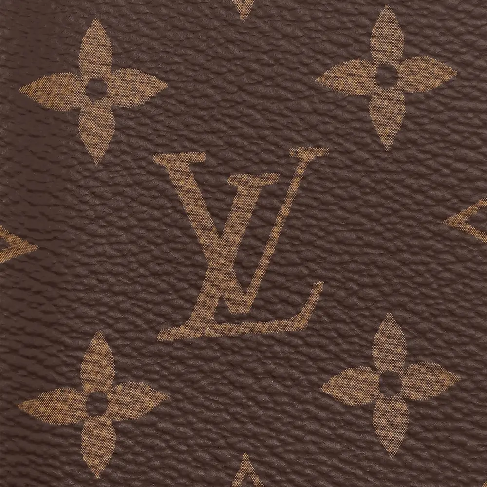 Ví Louis Vuitton Pocket Organiser 'Coated Canvas' M60502 - Ảnh 4
