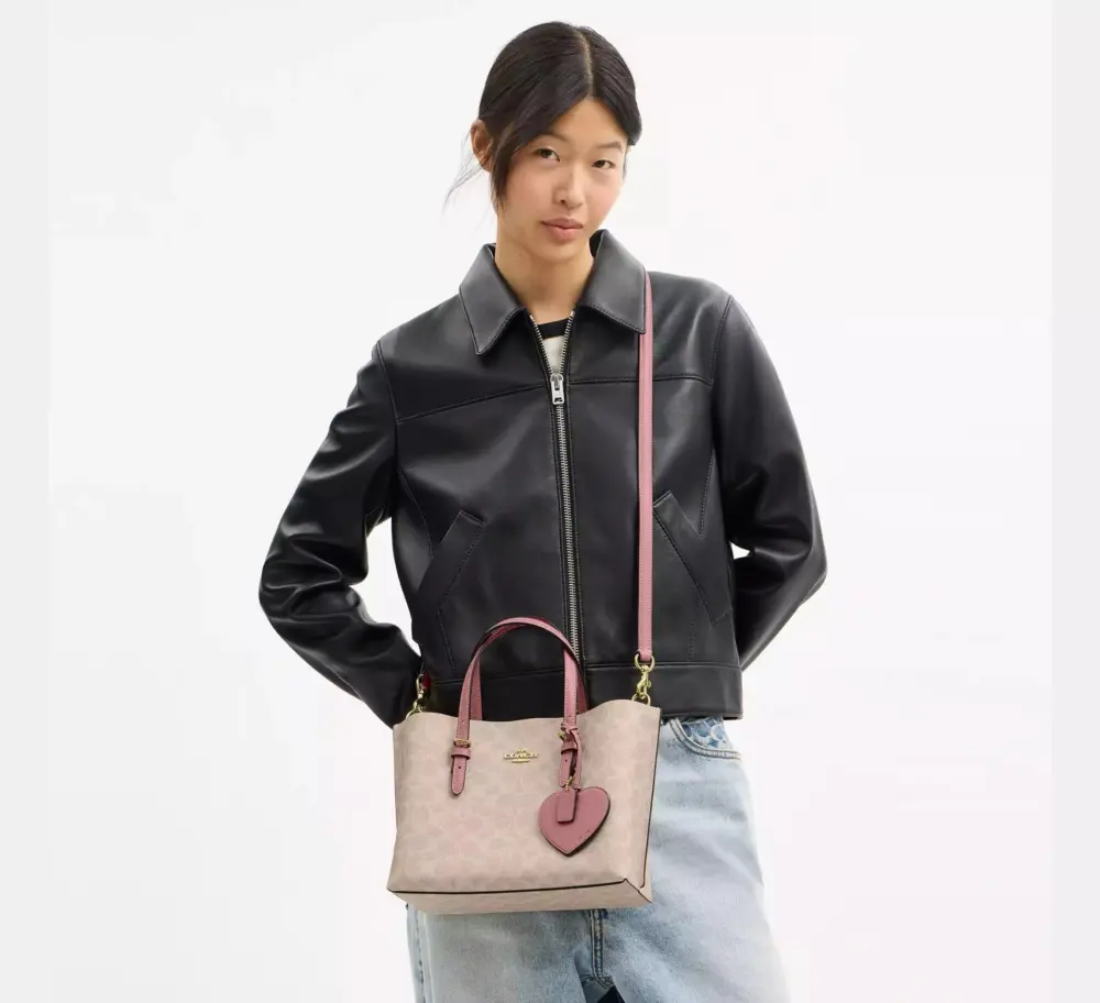 Túi Coach Mollie Tote Bag 25 'Sand Peony' CDF03-IMY6J - Ảnh 3