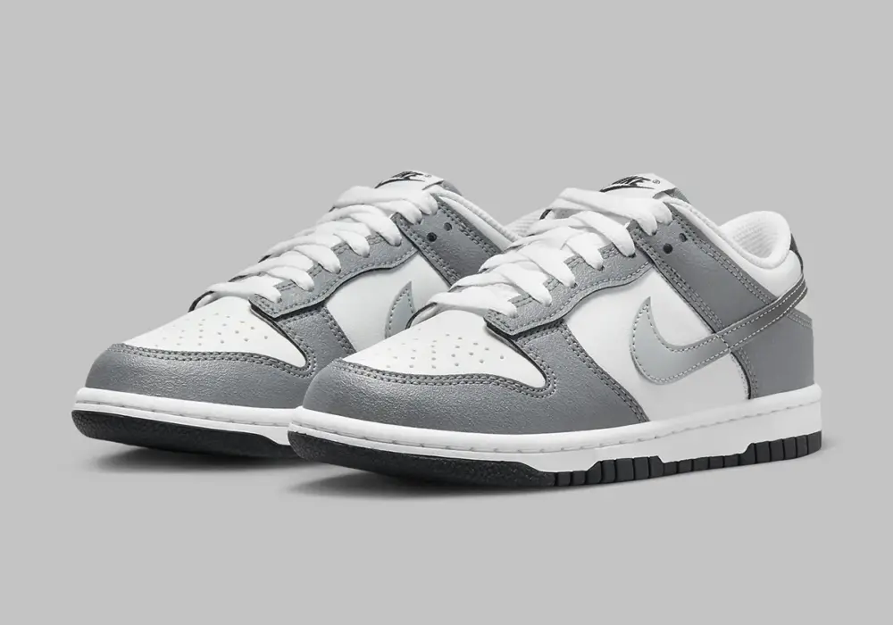 Giày Nike Dunk Low ‘Cool Grey’ HM9617-001 - Ảnh 3