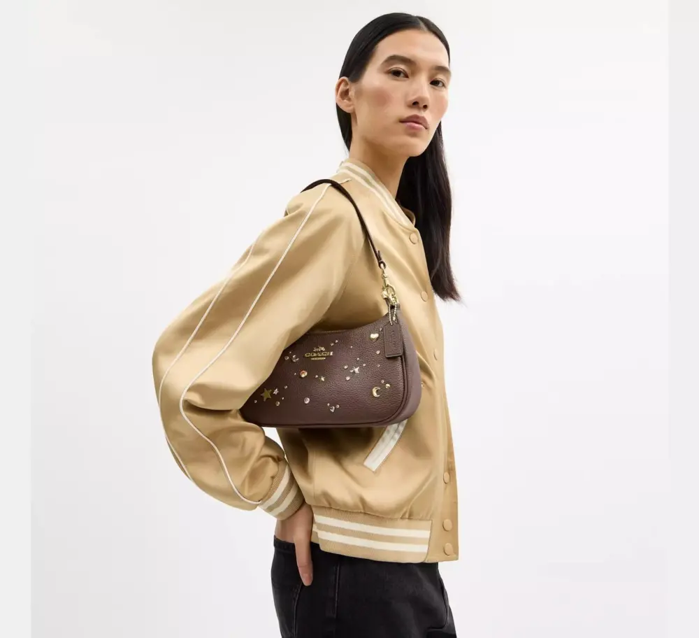 Túi Coach Teri Shoulder Bag 'Dark Stone' CCZ99-IMV2R - Ảnh 3