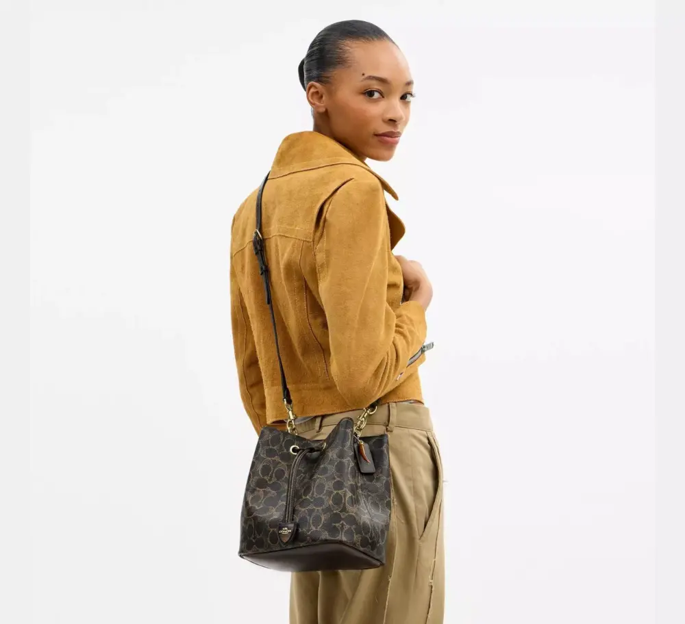 Túi Coach Rowan Bucket Bag 'Brown' CDY21-IMBRN - Ảnh 6