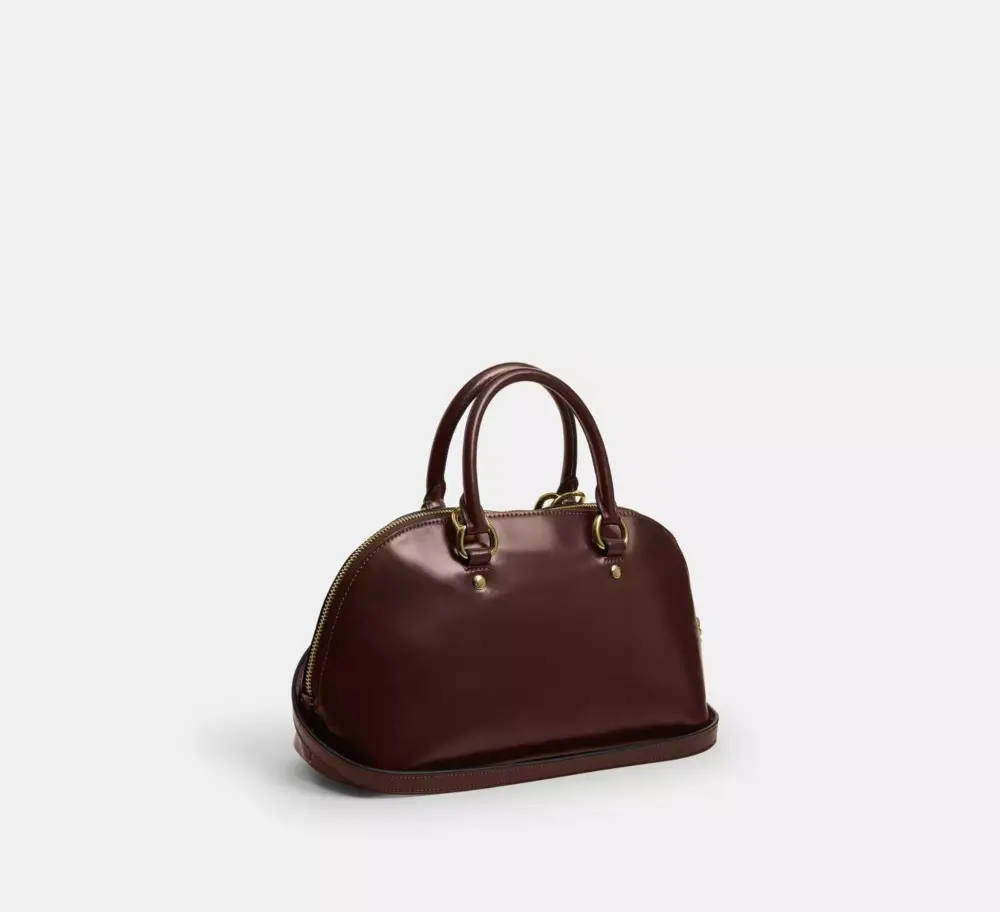 Túi Coach Lara Satchel Bag 'Maple' CDV19-IMMPL - Ảnh 4