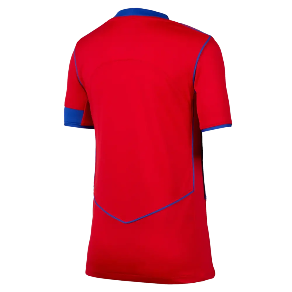 Áo Nike Paris Saint-Germain 2025/26 Stadium Third Replica HM4126-680 - Ảnh 5