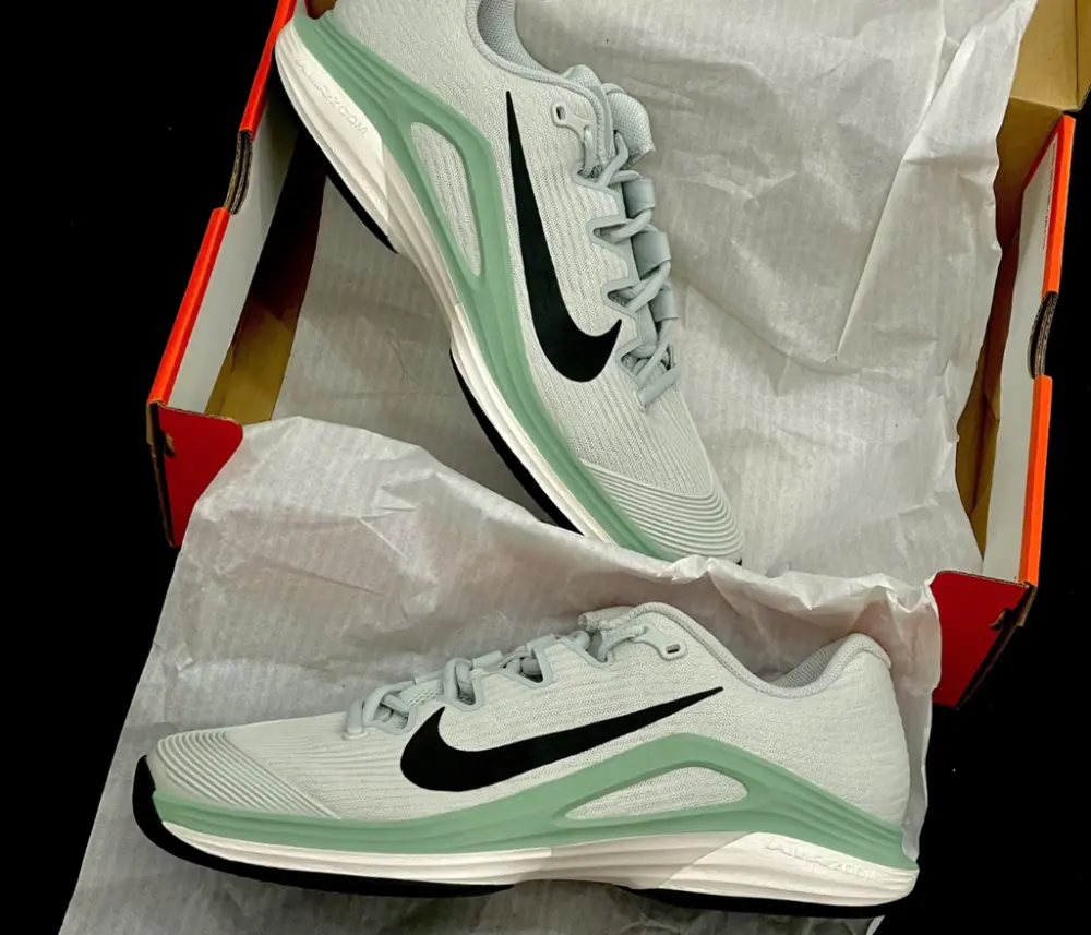 Giày Nike Court Air Zoom Vapor 12 HC ' Light Silver' FV5552-003 - Ảnh 3
