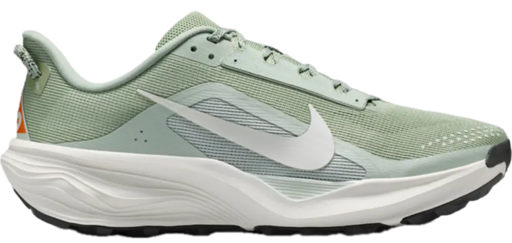 Giày Nike ACG Pegasus Trail ‘Horizon Light Silver’ HV8116-310