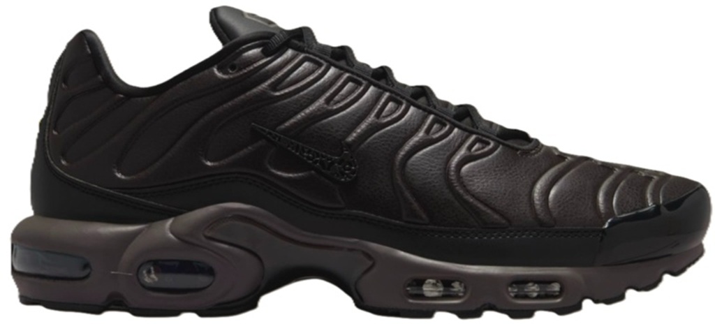 Giày Nike Air Max Plus Premium ‘Paris’ HJ4519-200