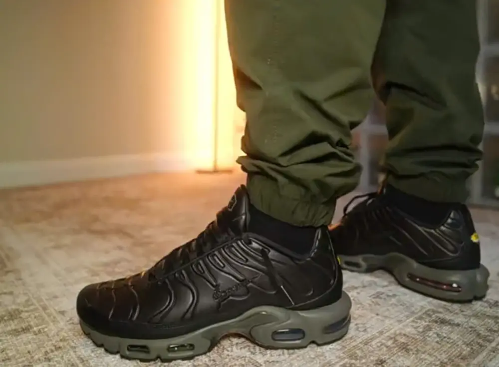 Giày Nike Air Max Plus Premium ‘Paris’ HJ4519-200 - Ảnh 4