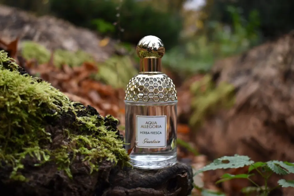 Nước Hoa Guerlain Aqua Allegoria Herba Fresca EDT - Ảnh 4