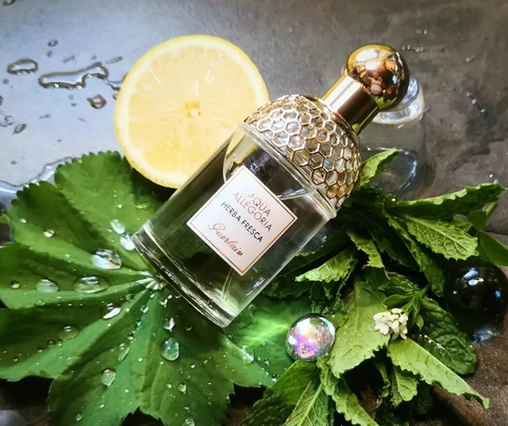 Nước Hoa Guerlain Aqua Allegoria Herba Fresca EDT - Ảnh 3
