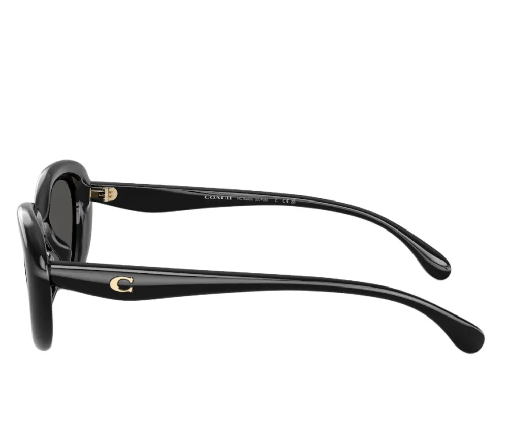 Kính Coach Sunglasses ‘Black’ 0HC8448U-500287 - Ảnh 4
