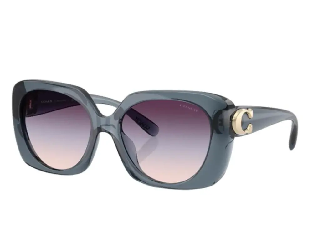 Kính Coach Sunglasses 'Grey' 0HC8422U-5871U7 - Ảnh 5