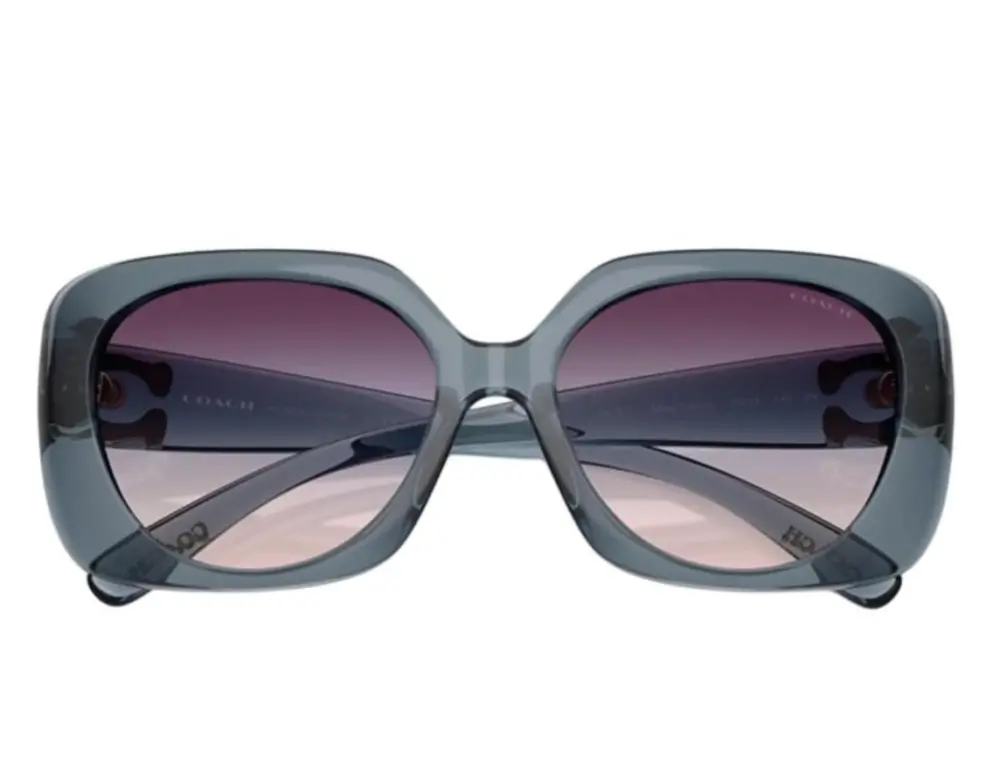Kính Coach Sunglasses 'Grey' 0HC8422U-5871U7 - Ảnh 4