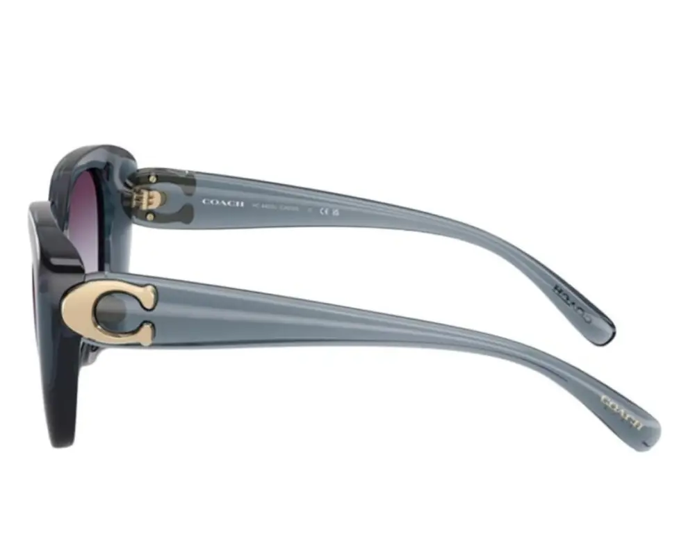 Kính Coach Sunglasses 'Grey' 0HC8422U-5871U7 - Ảnh 3