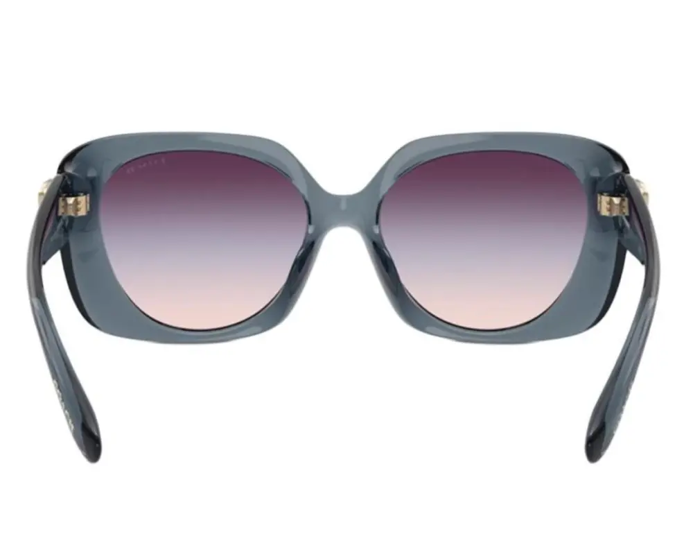 Kính Coach Sunglasses 'Grey' 0HC8422U-5871U7 - Ảnh 2