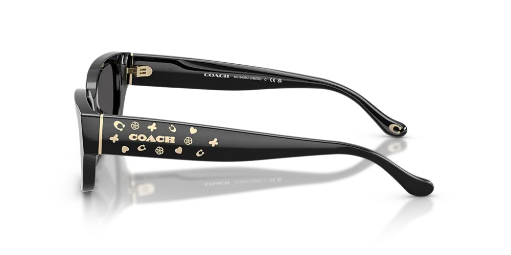 Kính Coach Sunglasses ‘Black’ 0HC8439U-500287 - Ảnh 5
